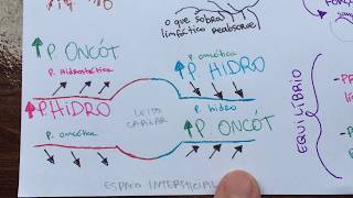 Distúrbios hemodinâmicos MAPA MENTAL [upl. by Mohamed]