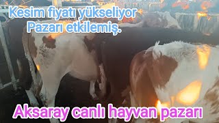 13 Ağustos salı Aksaray canlı hayvan pazarı inek toplamaya devam [upl. by Nitsirc]