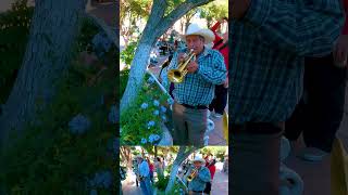 Tamborazo en JEREZ shortvideos zacatecas mexico [upl. by Memberg]