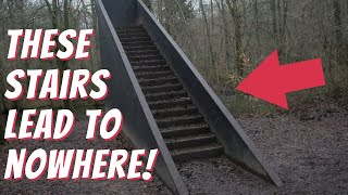 THIS CREEPY APP TOOK US TO MYSTERY STAIRS IN THE WOODS ft OMARGOSHTV [upl. by Mcmath]