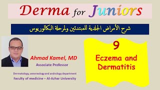 009 Eczema and dermatitis [upl. by Bedwell]