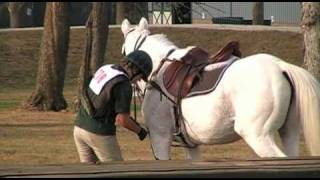 278 at Hagyard Midsouth cross country fall [upl. by Yoshiko]