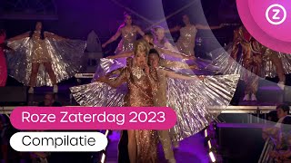 Roze Zaterdag 2023 Compilatie [upl. by Yettie]