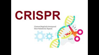 CRISPR  Clustered Regularly Interspaced Short Palindromic Repeats 2024 [upl. by Bar]