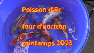 Poisson dOr tour dhorizon printemps 2023 [upl. by Intruoc]