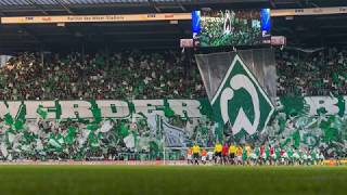 Wo auch immer du spielst  M Thie amp Maxi  Werder Bremen Song 2018 MThie [upl. by Kalila]