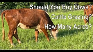 Tips To Raising Cattle RIGHT [upl. by Samul410]