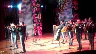 Mariachi vargas rondinela nuevo arreglo 2009 [upl. by Gabor851]