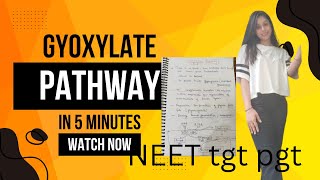 GLYOXYLATE pathway l complete explanation with handwritten notes l in Hindi l NEET tgt pgt msc bsc [upl. by Morganne]