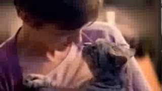 WHISKAS® Nederland  Kitten Commercial 2013 [upl. by Anircam]