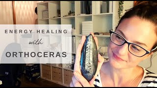 Orthoceras  Why I love it and how to use it in Crystal Healing Sessions [upl. by Acinom287]