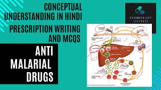 Anti malarial drugs Pharmacotherapy of malaria  Pharmacology practicals [upl. by Lorette]