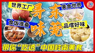 💥《舌尖上的中国》原班团队制作 130多种食材和菜式 这里不仅是“世界工厂” 还是地道美食的天堂！ 寻味东莞 A Bite of Dongguan [upl. by Bael892]