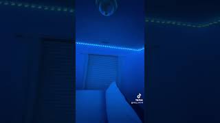 LED Lights in my bedroom  Room Tour [upl. by Sullecram91]