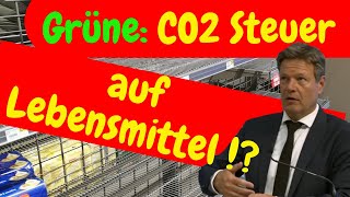 2024 CO2 Steuer auf Lebensmittel  Die CO2 Steuer steigt 2024 weiter Alles teurer [upl. by Iknarf]