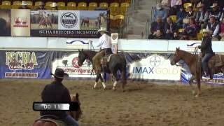 2014 NCHA FUTURITY TAMWORTH [upl. by Annay546]