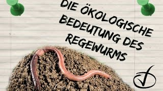 Die ökologische Bedeutung des Regenwurms [upl. by Htenay]