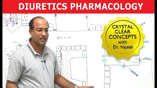 Diuretics  Pharmacology  Dr Najeeb [upl. by Nunnery283]