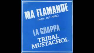 Tribal Mustachol  Avec ma flamande [upl. by Hnirt]