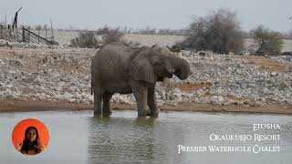 Okaukuejo Resort Premier Waterhole Chalet Etosha Park Namibia [upl. by Abagael460]