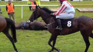 A Horse Falls at the Sligo Races revised [upl. by Dav]