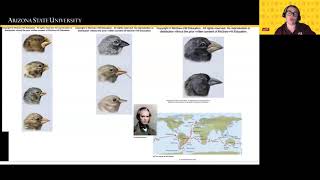 Evolution overview and history [upl. by Irpak]