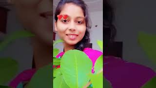 dholna hindisong music bollywood viralvideos cutegirl funnymasti trend viralreels oldsong [upl. by Garap204]