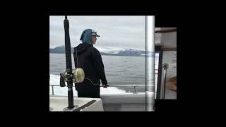 Free2Roam  Alaska 2024  Family Trip without the RV [upl. by Nemajneb]