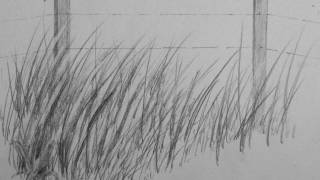 How to Draw Realistic Tall Grass [upl. by Ttsepmet457]