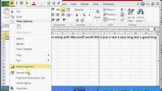 How to Fit Long Text in Excel  Microsoft Excel Help [upl. by Adekan]