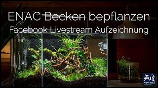 Bepflanzung meines Wettbewerbsaquariums  AquaOwner Live [upl. by Westmoreland]