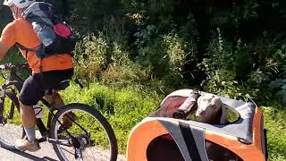 Ciclabile DobbiacoLienz con Weimaraner nel carrello bici [upl. by Lashond523]