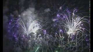 Fireworks Madeira [upl. by Fox24]