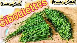 Ciboulettes comment faire sécher ciboulette naturellement [upl. by Nomrej357]