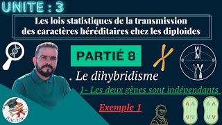 UNITÉ 3  Parti 8  le dihybridisme deux gènes indépendants  EXEMPLE 1 [upl. by Yelwar]