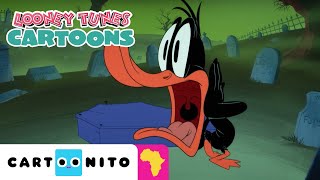 Looney Halloween  Looney Tunes Cartoons  Cartoonito Africa [upl. by Andriette]