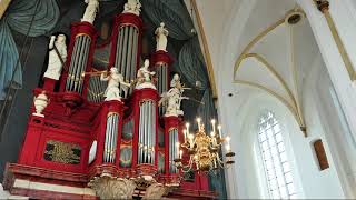 Toccata Psalm 150 uit de grote kerk te Hasselt [upl. by Aldarcie526]