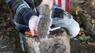 How to Debone a Squirrel Tail  EASY [upl. by Niboc]