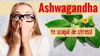 Ashwagandha plantaminune care te scapă de stress [upl. by Belia]