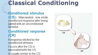 Learning classical conditioning [upl. by Nnylarac]