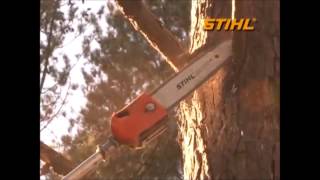 Podador de Altura Stihl  HT 101 [upl. by Nomyaw481]