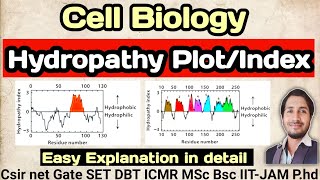 CellBiology Hydropathy Plot csirnet csir Hydropathy plot [upl. by Lubin]