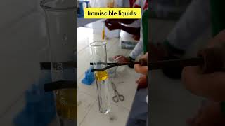 Miscible and immiscible liquids shorts viralvideo chemistry youtubeshortschemistry [upl. by Aciretahs]