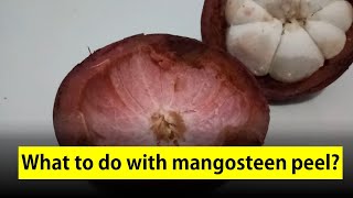 What to do with mangosteen peel  Unlocking the Hidden Potential of Mangosteen Skin [upl. by Nickolas]