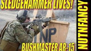 Sledgehammer Drill by Nutnfancy Sig P226 Bushy AR15 Aimpoint [upl. by Bowles]