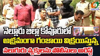 నెల్లూరు జిల్లా కోవూరులో అక్రమంగా గంజాయి విక్రయిస్తున్న నలుగురు వ్యక్తులను పోలీసులు అరెస్ట్ [upl. by Osborne]