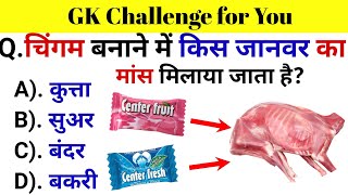 GK Questions  GK in Hindi  General Knowledge Questions and Answers  Gk Quiz  Gk ke Questions [upl. by Narad]