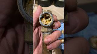 Nasty Plumbing Check Valve Dissected  Hot Water Fix plumber shorts pipedoctor [upl. by Javier]