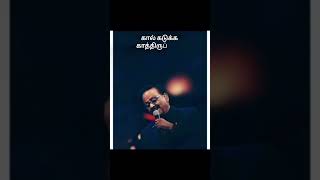 Vannam Konda Vennilave spbhits tamilshorts musiclover utubefeed melodyhits [upl. by Hecklau]