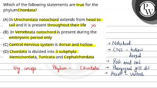 Which of the following statements are true for the Phylum ChordataA In Urochordata notochord [upl. by Robbins]